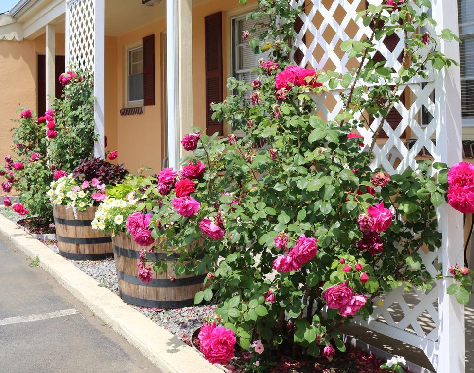 The Bay Willows Inn Middletown Exterior foto